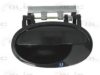 BLIC 6010-04-040403P Door Handle